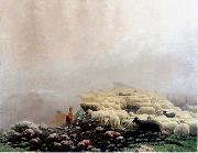 Sheeps in the fog.